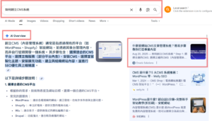 ai overview範例