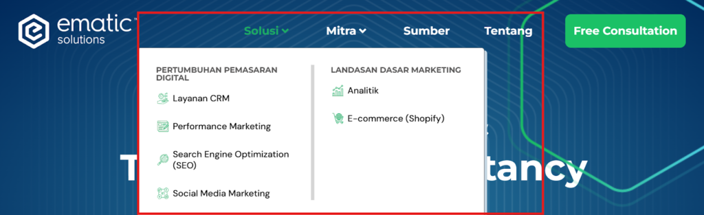 navigational links website ematic solutions